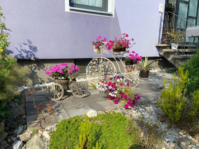 Apartamento Haus Lila Welle Nordhalben Exterior foto